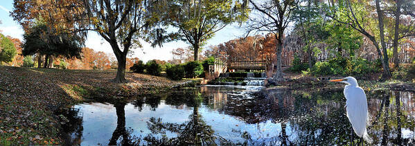 Greenfield Lake Poster featuring the photograph Panorama of Greenfield Lake Park, Wilmington, NC by WAZgriffin Digital