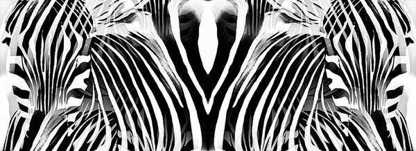 Zebra Poster featuring the mixed media Zebra Abstract in Black and White by Shelli Fitzpatrick