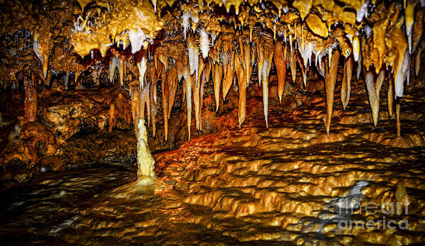 Caves Poster featuring the photograph Cave rock formations 1 by Elena Elisseeva