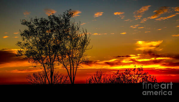 Sunrise Poster featuring the photograph Sunset #2 by Robert Bales