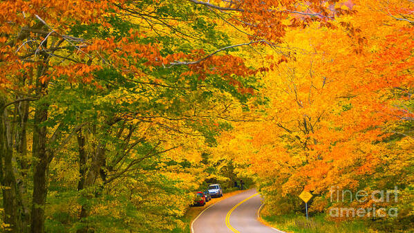 Scenic Vt Poster featuring the photograph Classic Vermont Foliage. #11 by New England Photography
