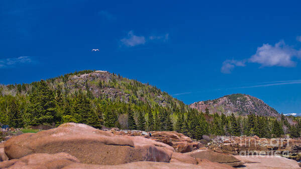 Acadia National Park Poster featuring the photograph Acadia National Park. #4 by New England Photography