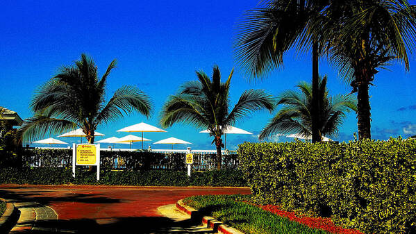 Island Poster featuring the photograph A Flock of Umbrellas by CHAZ Daugherty