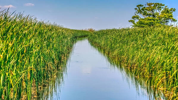 Adventure Poster featuring the photograph Airboat On The Mobile Delta by Traveler's Pics