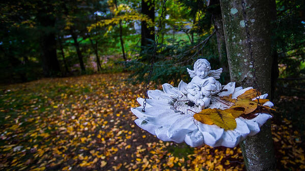 Fall Poster featuring the photograph Angel by David Downs