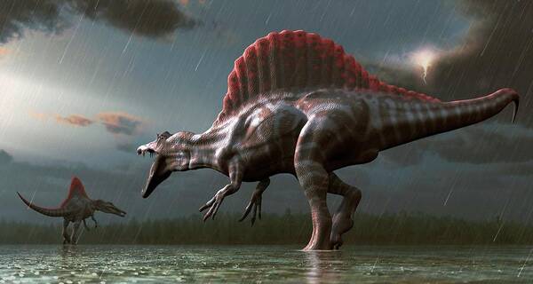 Dinosaur Poster: Prehistoric Marine Life