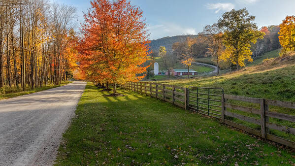 Bucolic Poster featuring the photograph Back Roads by Bill Wakeley