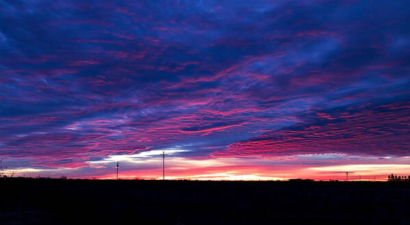 Sunrise Poster featuring the photograph Blue Sunrise in West Texas by Mark McKinney
