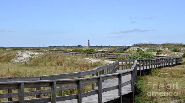 Dunes Poster featuring the photograph Boardwalk With A View by Carol Bradley