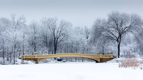 American Poster featuring the photograph Bow Bridge in Central Park NYC by Mihai Andritoiu