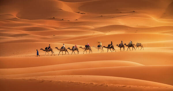 Camel Poster featuring the photograph Caravan by Jorge Ruiz Dueso