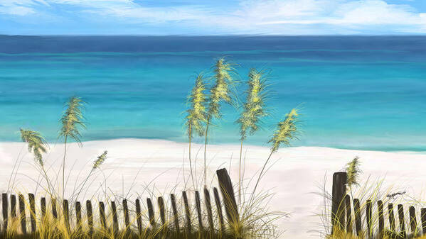 Beach Poster featuring the digital art Clear Water Florida by Anthony Fishburne