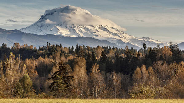 Mountain Poster featuring the photograph Drive'n Round Mt Rainier by Tony Locke