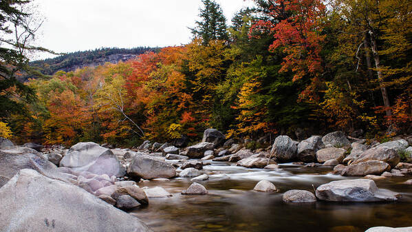 Kancamagus Highway Poster featuring the photograph Fall Flowing by SAURAVphoto Online Store