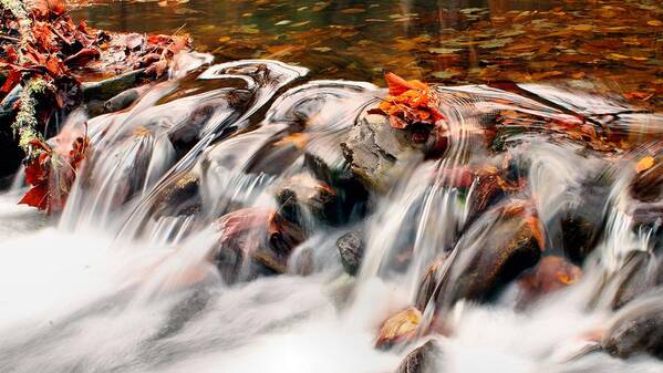 The Great Smoky Mountains National Park Poster featuring the photograph Fall waters by Carol Montoya