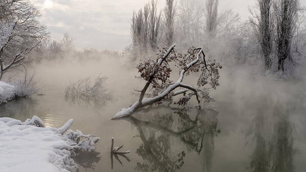Winter Poster featuring the photograph Fog Over The Water by Alexander Plekhanov