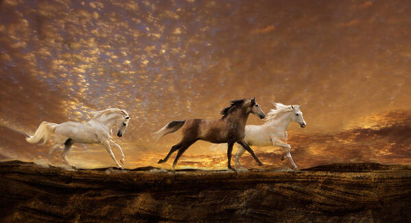 Equine Sunset Poster featuring the photograph Freed Spirits by Melinda Hughes-Berland
