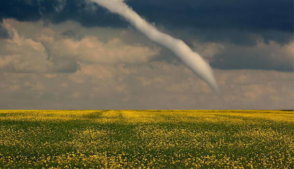 Canola Field Poster featuring the photograph Funnel Clouds by Larry Trupp