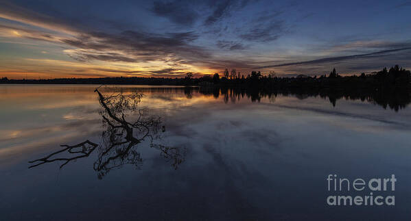 Green Lake Poster featuring the photograph Greenlake Sunset with A Fallen Tree by Mike Reid