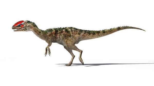 Guanlong Poster featuring the photograph Guanlong Dinosaur by Jose Antonio Penas/science Photo Library