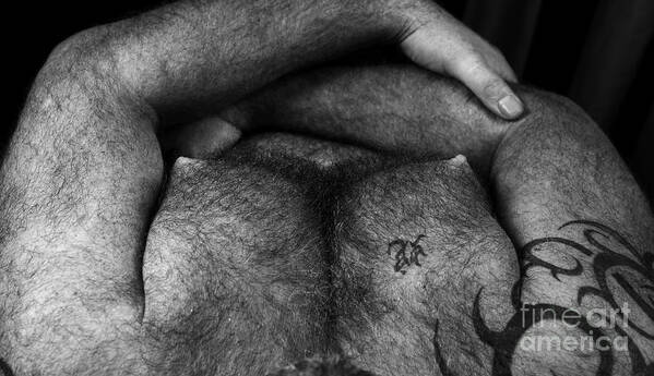 Bear Poster featuring the photograph Hairy Chest by Bear Pictureart