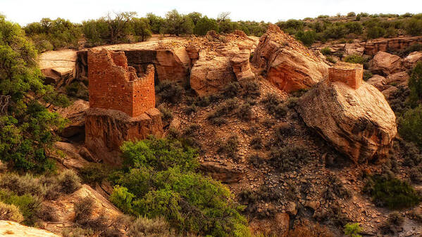 Sherry Day Poster featuring the photograph Hovenweep Dwelling by Ghostwinds Photography