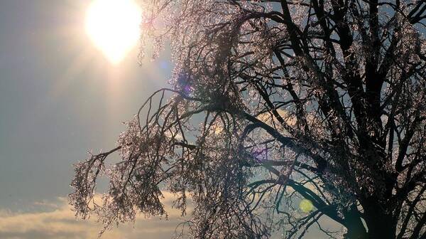 Ice Covered Trees Poster featuring the photograph Icy sunburst by Douglas Pike