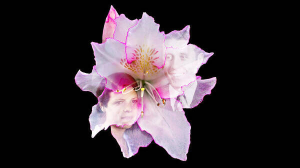 Nature Poster featuring the photograph Mother and Father Azalea by Michael Whitaker