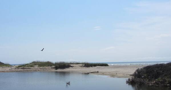 Inlet Poster featuring the photograph Ocean and Sound by Cathy Lindsey