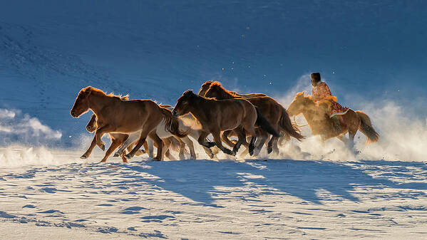 Animals Poster featuring the photograph Racing In Snow by Hua Zhu