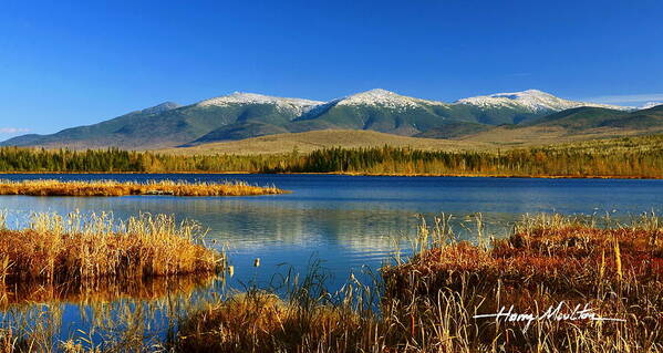 Landscape Poster featuring the photograph Reflections on Cherry Pond by Harry Moulton