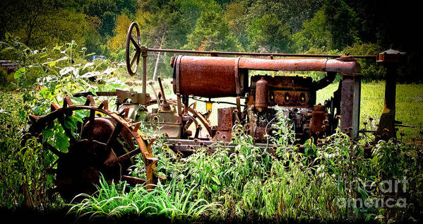 Tractor Poster featuring the photograph Rusted Red Tractor by Colleen Kammerer