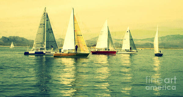 Sailing Day Regatta Poster featuring the photograph Sailing Day Regatta 2 by Julie Lueders 
