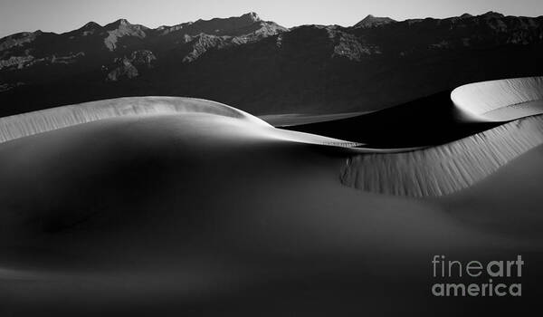 Death Valley National Park Poster featuring the photograph Shadow and Light by Jennifer Magallon