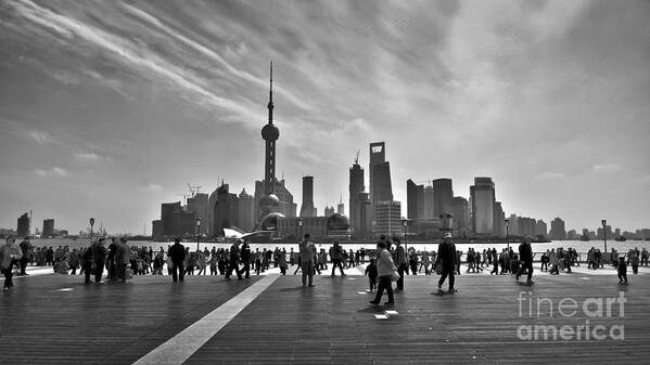 Shanghai Poster featuring the photograph Shanghai skyline black and white by Delphimages Photo Creations