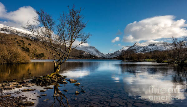 Llyn Padarn Poster featuring the photograph Snowdon And Padarn Lake by Adrian Evans