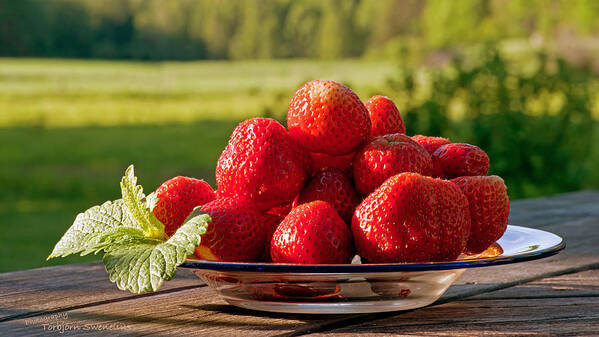 Strawberry Poster featuring the photograph Strawberry fields by Torbjorn Swenelius