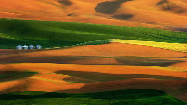 Palouse Poster featuring the photograph The Colorful Land by Phillip Chang