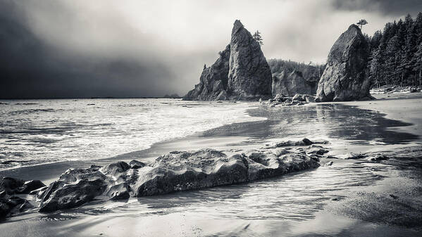 Rialto Beach Poster featuring the photograph The Old Man and the Sea by Carrie Cole