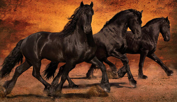 Horses Poster featuring the photograph Thundering Hooves by Jean Hildebrant