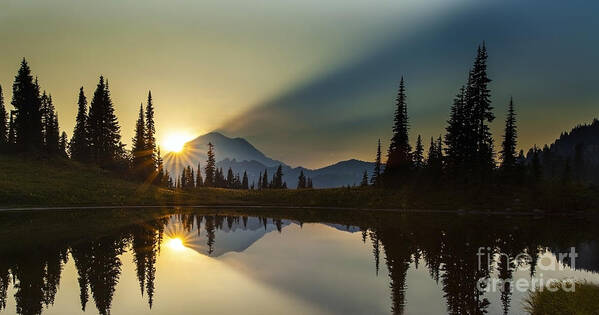 Mount Rainier National Park Poster featuring the photograph Tipsoo Rainier Sunstar by Mike Reid