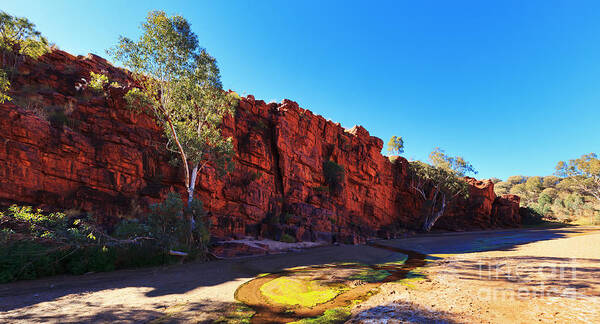 Trephina Gorge Outback Landscape Central Australia Water Hole Northern Territory Australian East Mcdonnell Ranges Poster featuring the photograph Trephina Gorge by Bill Robinson