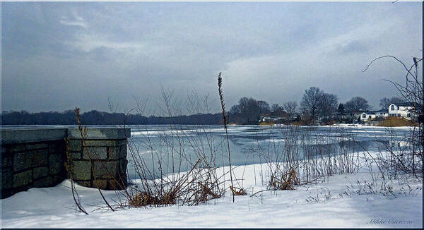 Landscape Poster featuring the photograph Winter by the lake by Mikki Cucuzzo