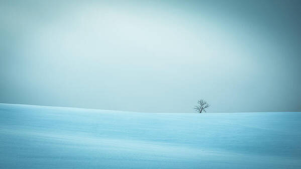 Winter Poster featuring the photograph Winter In Solitude by 