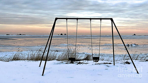 Winter Poster featuring the photograph Winter Playground by Janice Drew