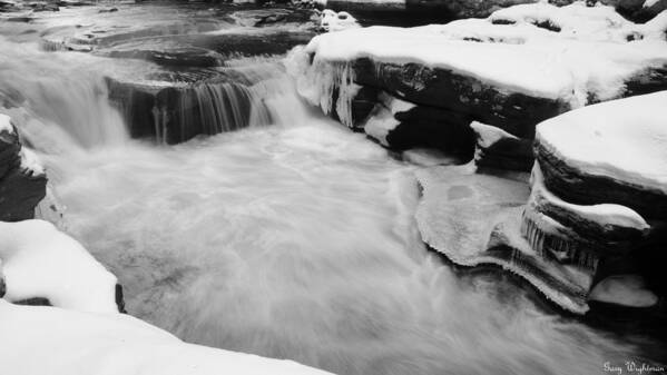 Stream Poster featuring the photograph Winter Stream by Gary Wightman