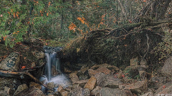 Autumn Poster featuring the photograph Wooded Stream by Richard Bean