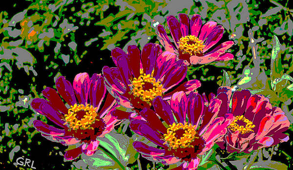 Flowers Poster featuring the painting Zinnias II Florida Contemporayary Digital Art by G Linsenmayer