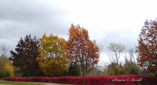  Poster featuring the photograph Fall Colors Collection - Michigan #6 by Monica C Stovall