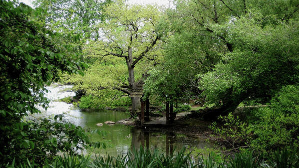 Central Park Poster featuring the photograph A River Runs Through Central Park by Lorraine Devon Wilke